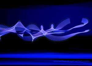 LED Lichtshow deutschlandweit buchen